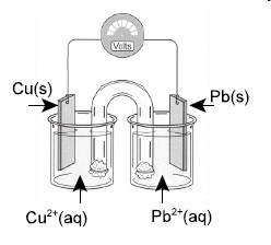 mc007-1.jpg